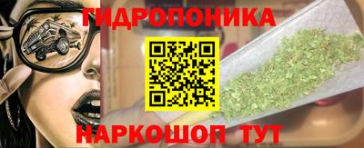 apvp Кингисепп
