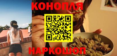 apvp Кингисепп